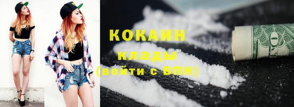 индика Майский