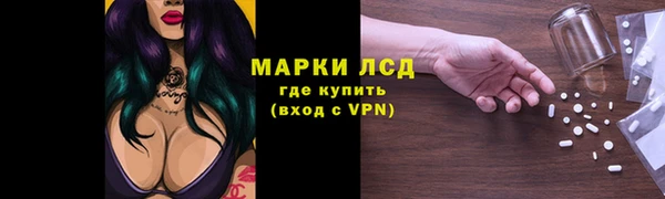 амф Магас