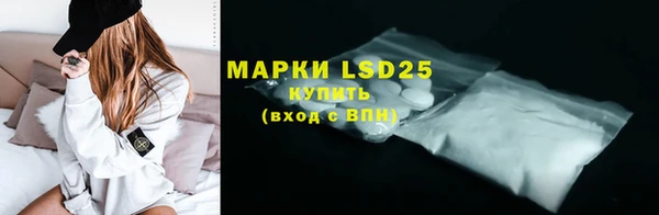 индика Майский
