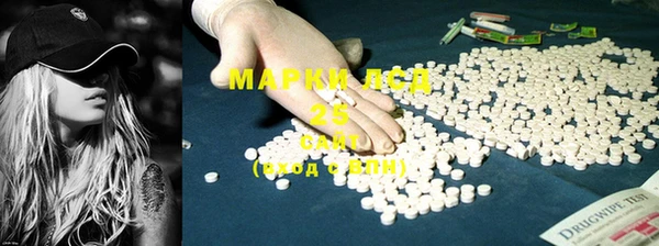 индика Майский