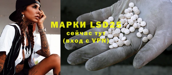 индика Майский
