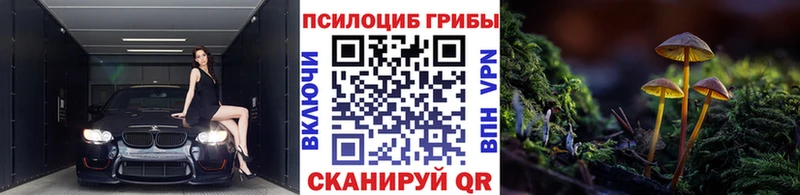 Галлюциногенные грибы Psilocybine cubensis Петрозаводск