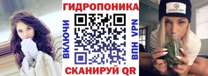 Купить закладки  Петрозаводск  Канабис VHQ 